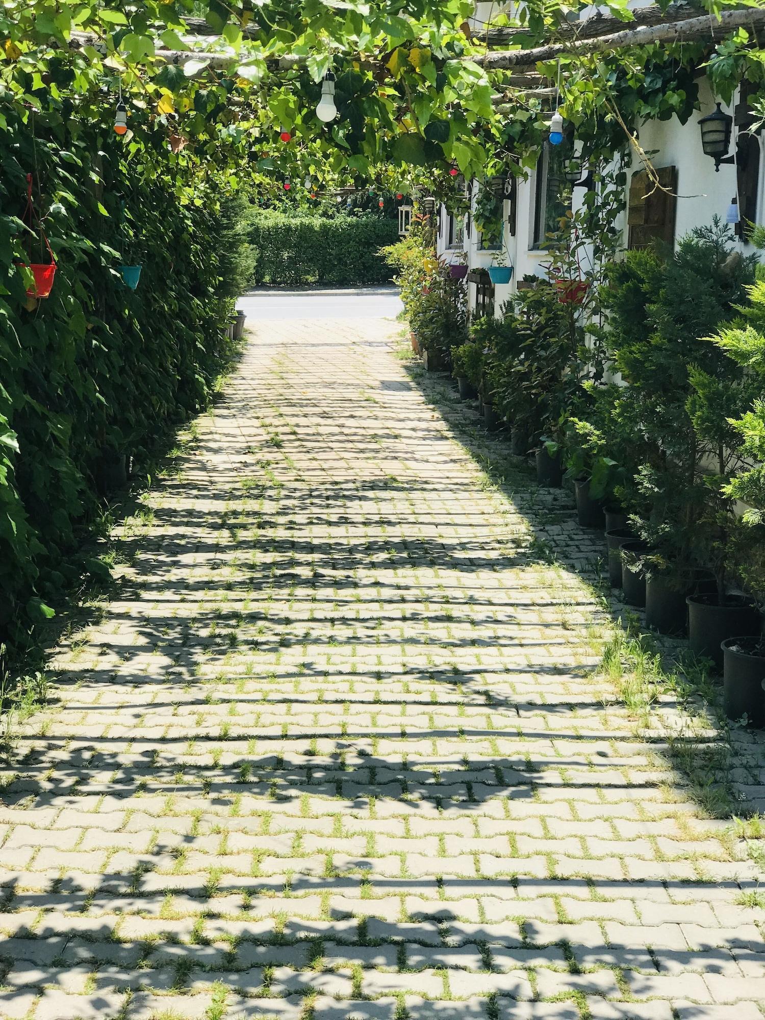 Sahra Butik Hotel Sapanca Luaran gambar